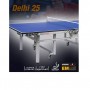 Профессиональный теннисный стол Donic Delhi 25 зелёный